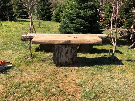 Eine große Holztischplatte auf einem Baumstamm.