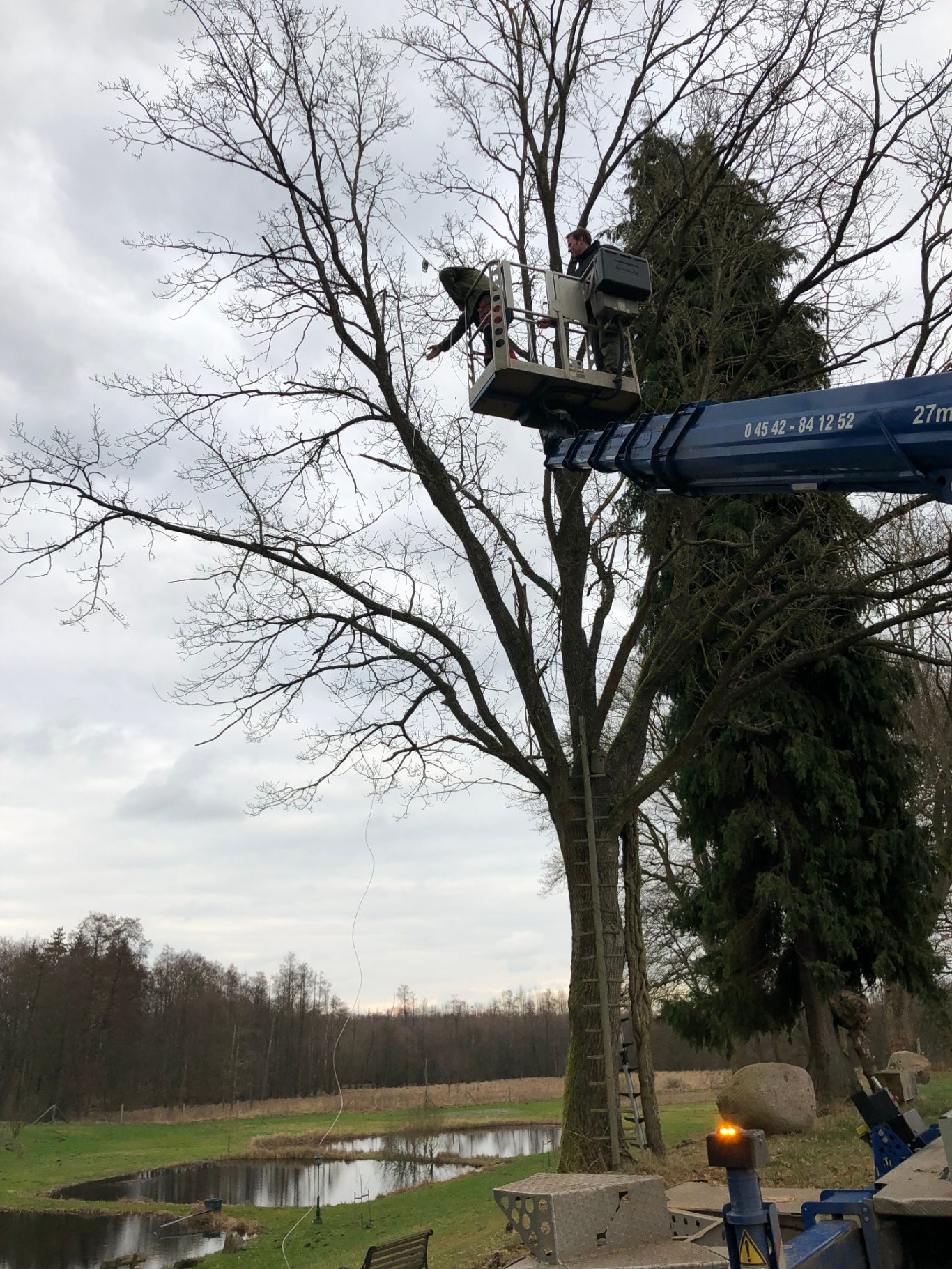 Hubwagen Hubwagen zur Abnahme von Bäumen.