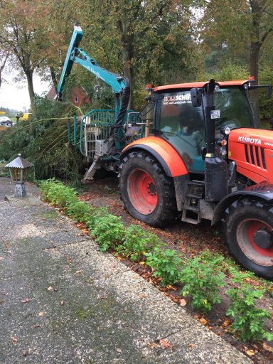 Pflegearbeiten im Garten. 